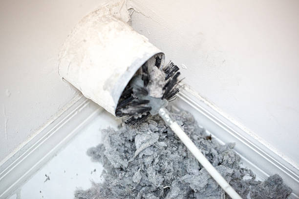 Best Affordable Duct Cleaning Services  in Olivet, MI